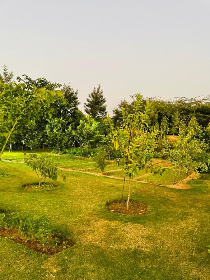 Villa Anantam Aravali à Gurgaon Extérieur photo